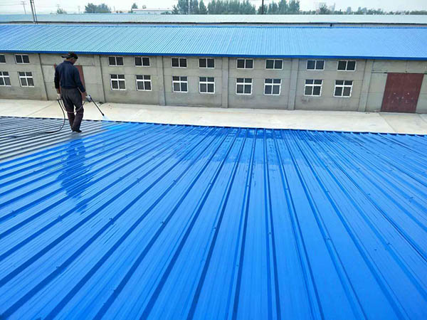 东莞生态园 彩钢瓦喷漆翻新工业厂房、仓库